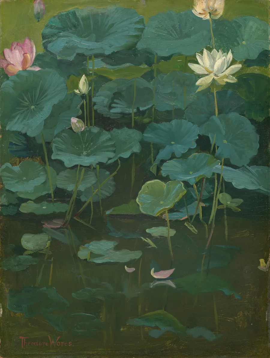 Buddha's Flowers: Lotus, Tokyo by Theodore Wores