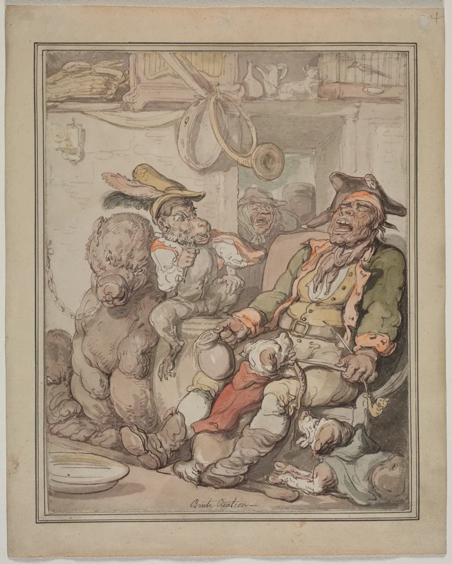 Comparative Anatomy Study by Thomas Rowlandson