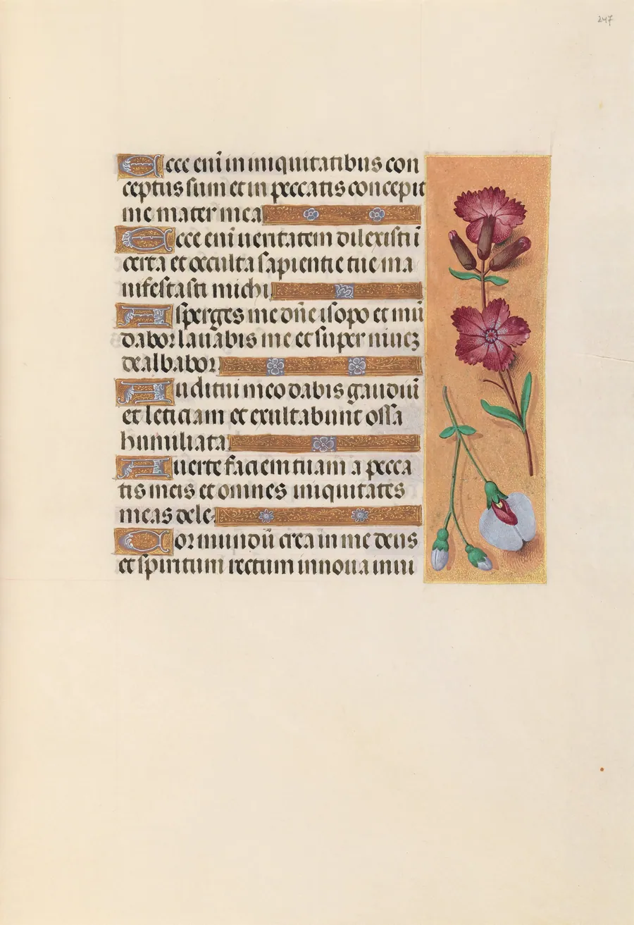 Hours of Queen Isabella the Catholic, Queen of Spain:  Fol. 247r by Master of the First Prayerbook of Maximillian