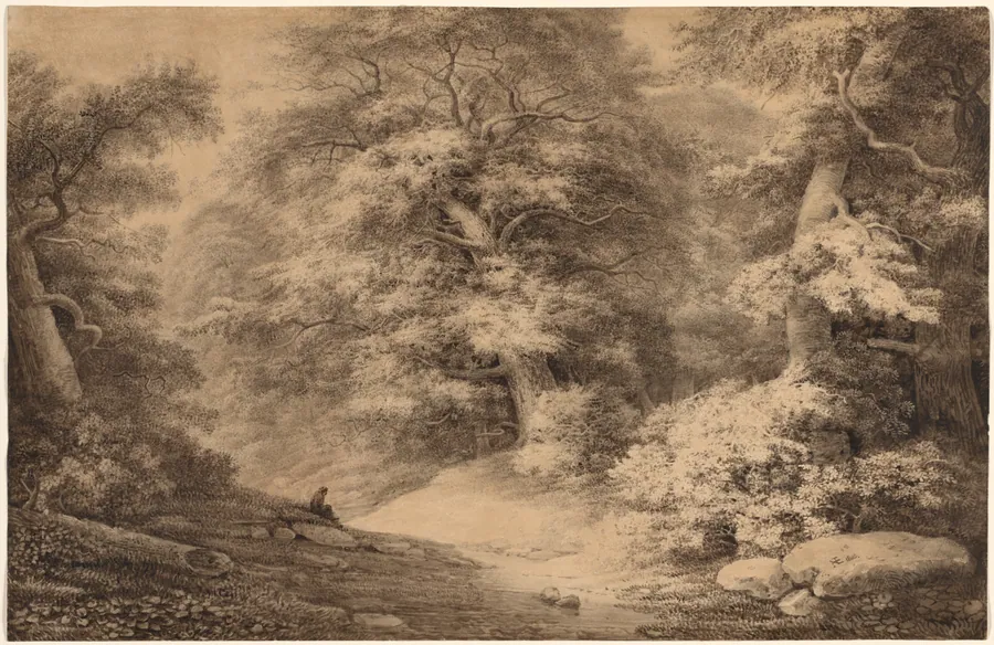 A Beech Wood with a Resting Traveler by Christoph Nathe