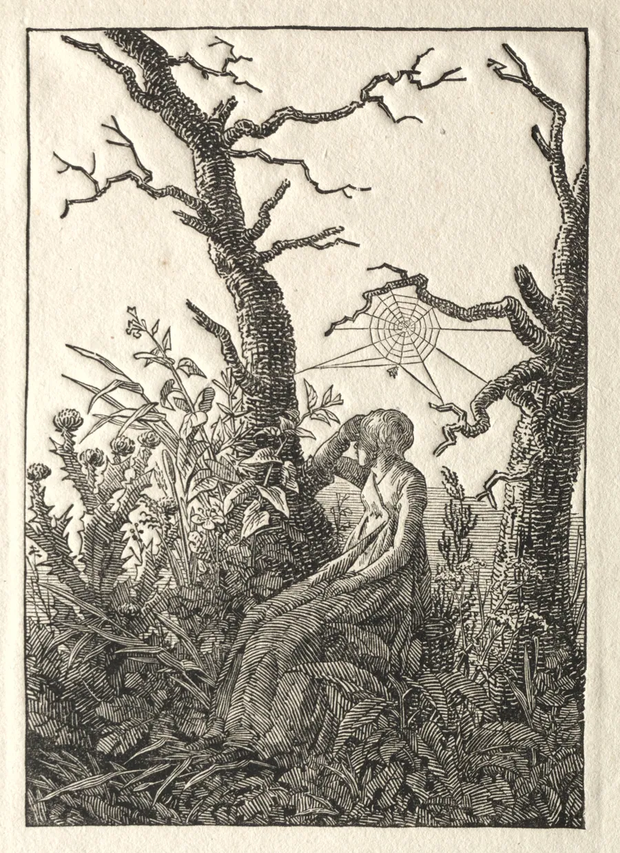 The Woman with the Spider Web between Bare Trees by Caspar David Friedrich