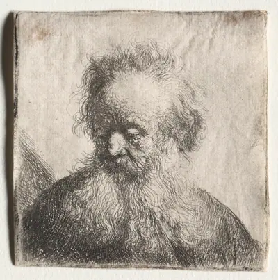 Old Man with a Flowing Beard: Bust