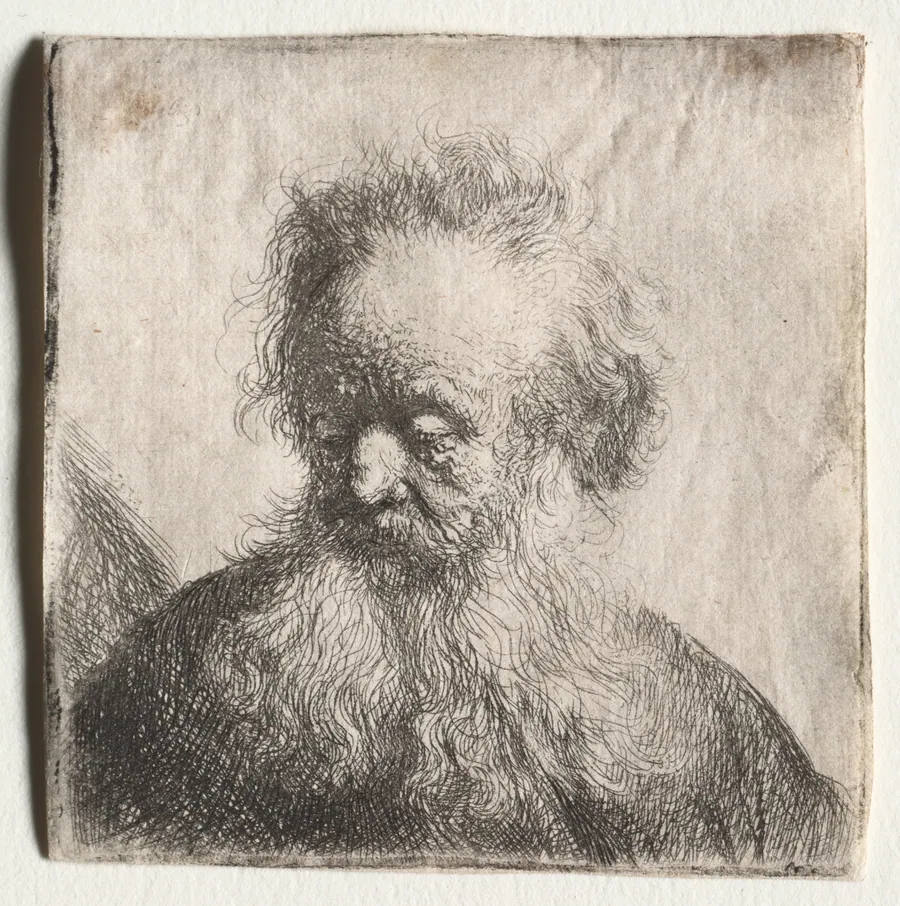 Old Man with a Flowing Beard: Bust by Rembrandt van Rijn