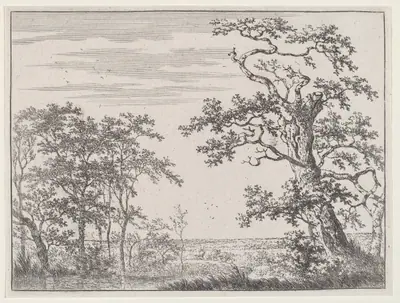 Landscape with a Stream and an Ancient Tree