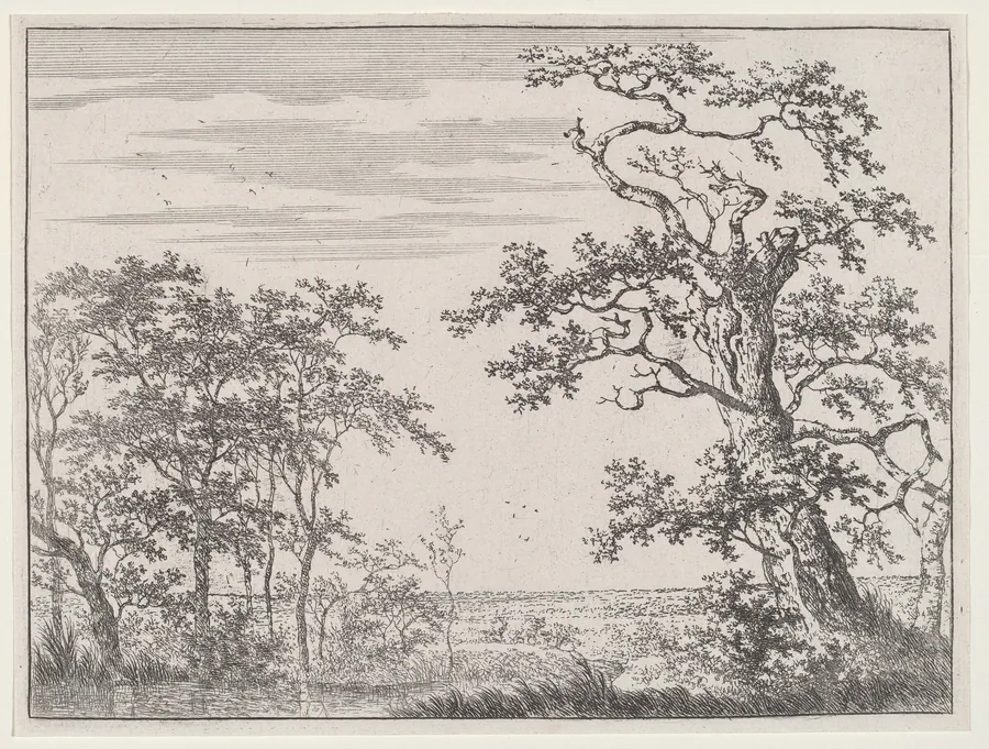 Landscape with a Stream and an Ancient Tree by Adriaen Hendricks Verboom