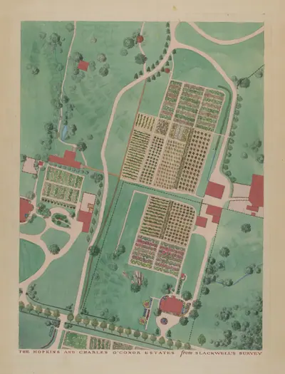 C. O'Connor and J.M. Hopkins Estate