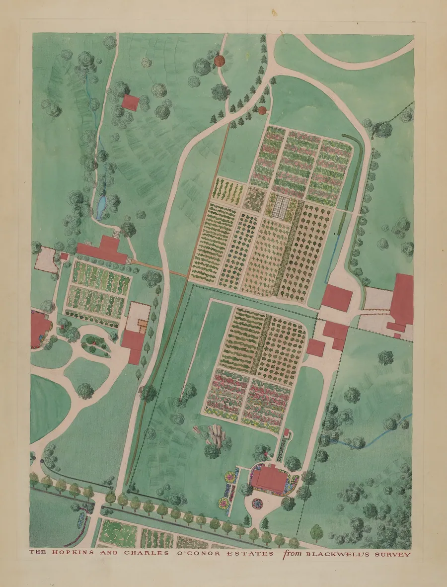 C. O'Connor and J.M. Hopkins Estate by Helen Miller