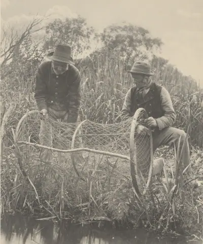 Setting Up the Bow-Net