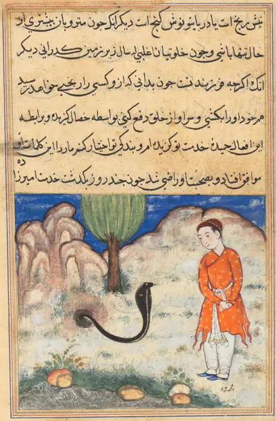 The prince, a son of the ruler of Sistan, enters the service of a snake, from a Tuti-nama (Tales of a Parrot): Thirty-seventh Night