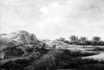 Klitlandskab ved Haarlem