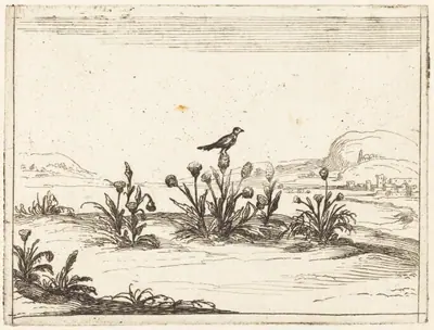 Bird Perched on a Thistle