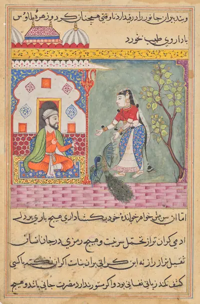 The Brahman’s wife who killed a peacock and ate its gallbladder on the physician’s advice, from a Tuti-nama (Tales of a Parrot): Nineteenth Night