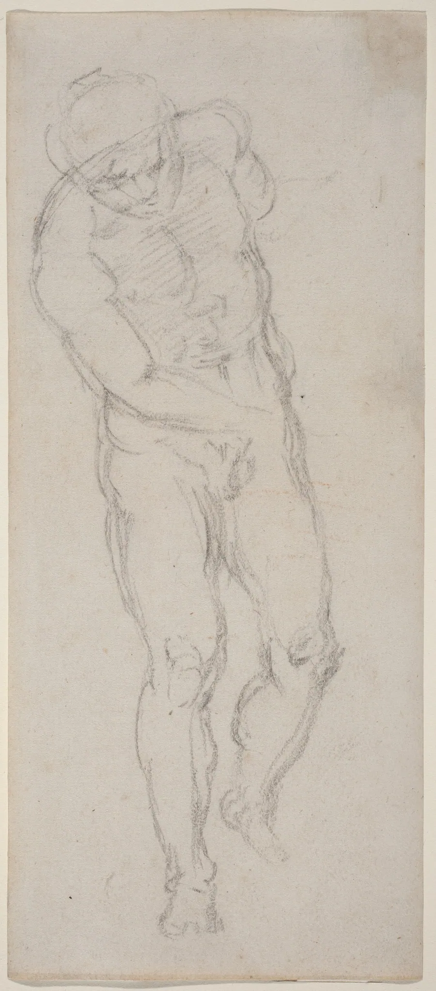Male Nude [recto] by Michelangelo