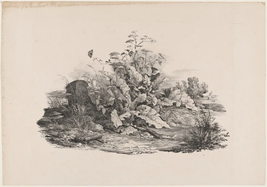 Wetland Plants by Carl August Lebschée