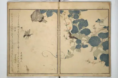 画本虫撰|Picture Book of Selected Insects (The Insect Book) (Ehon mushi erami) 画本虫撰