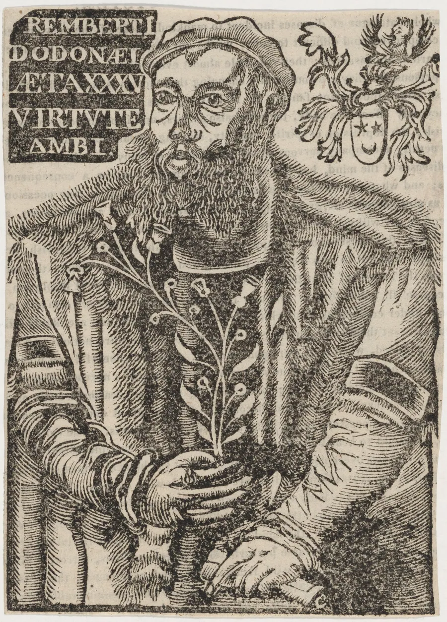 Rembret Dodoens by Unknown 19th Century