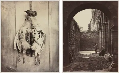 Partridges (recto); L.D. Campbell's Tomb (verso)
