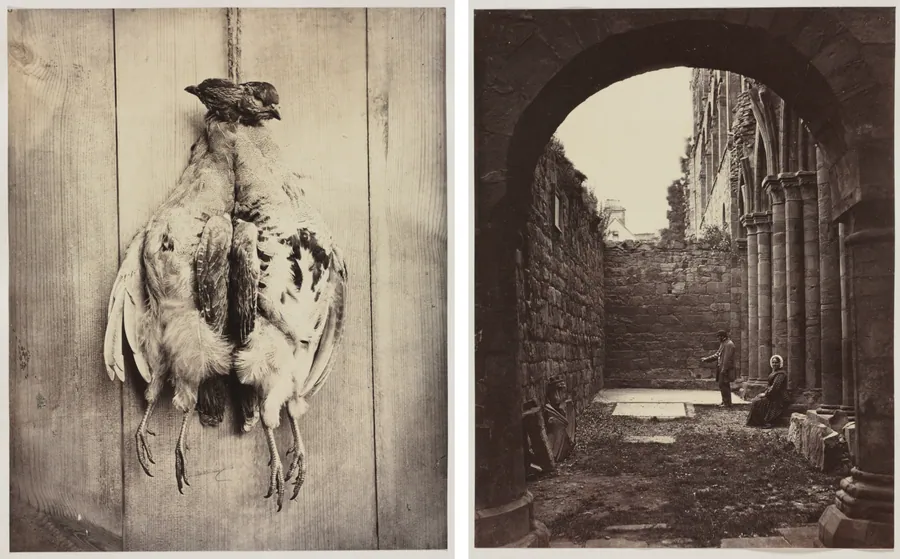 Partridges (recto); L.D. Campbell's Tomb (verso) by Captain N. Baily