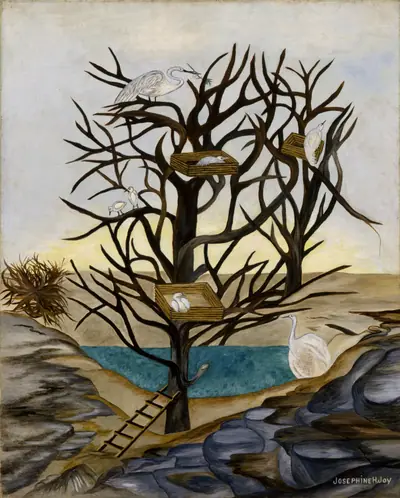 Waterbirds Nesting