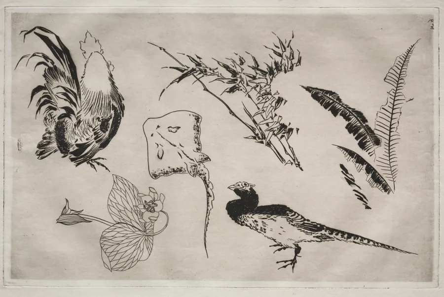Dinner Service (Rousseau service): Roosters, skate, plants, etc. (no. 9) by Félix Bracquemond