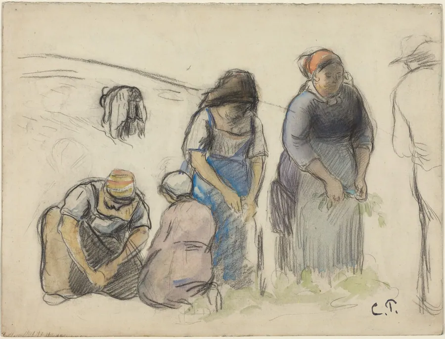 Pea Harvesters [recto] by Camille Pissarro