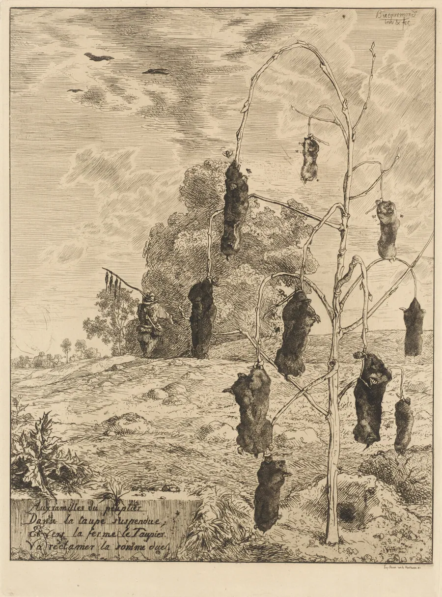 The Moles (Les Taupes) by Félix Bracquemond
