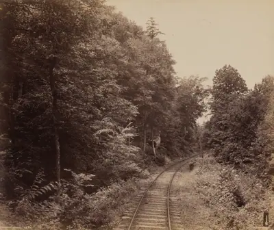 Musconetcong Glen