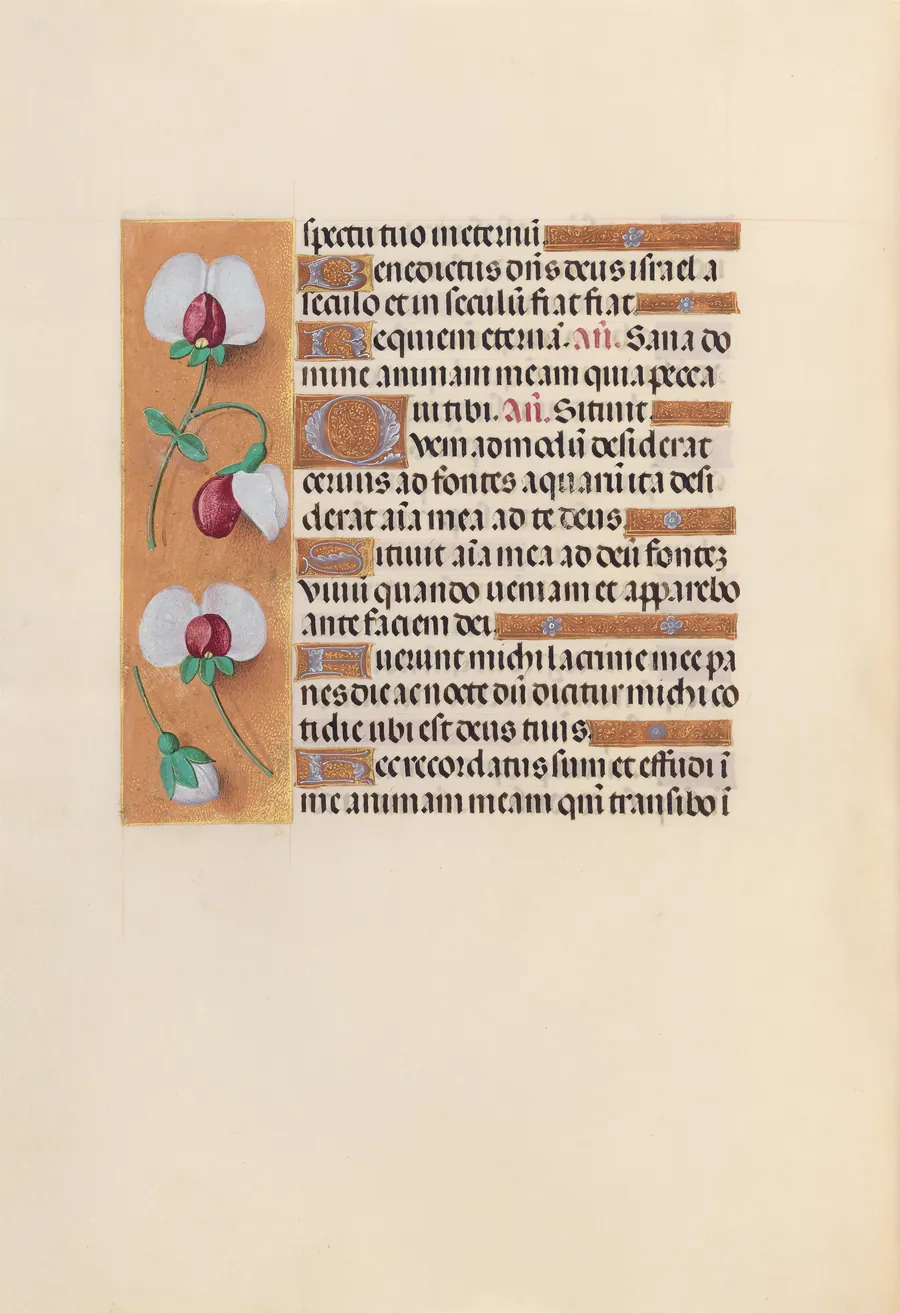 Hours of Queen Isabella the Catholic, Queen of Spain:  Fol. 242v by Master of the First Prayerbook of Maximillian