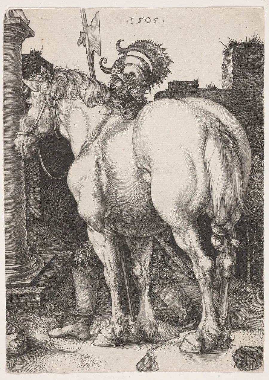 The Large Horse by Albrecht Dürer