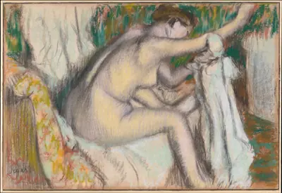 Woman Drying Her Arm