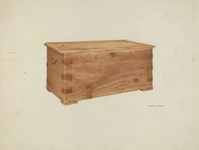 Chest