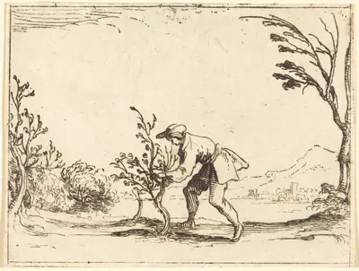 Man Cutting a Balm-Tree