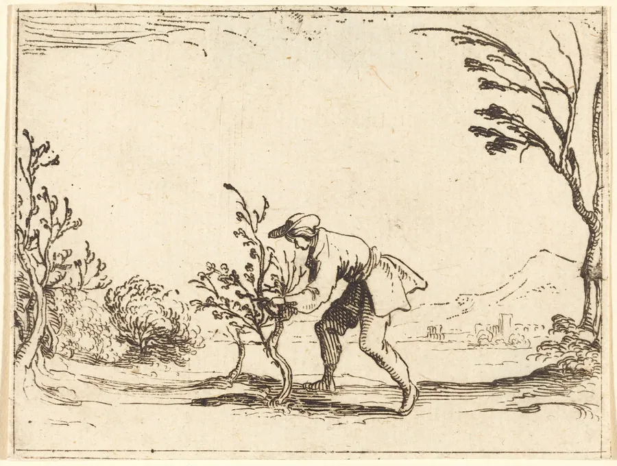 Man Cutting a Balm-Tree by Jacques Callot