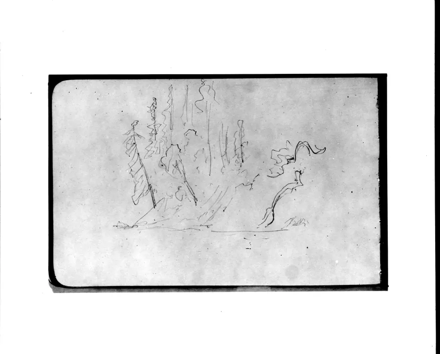 Trees on a Hill (from Sketchbook) by Albert Bierstadt