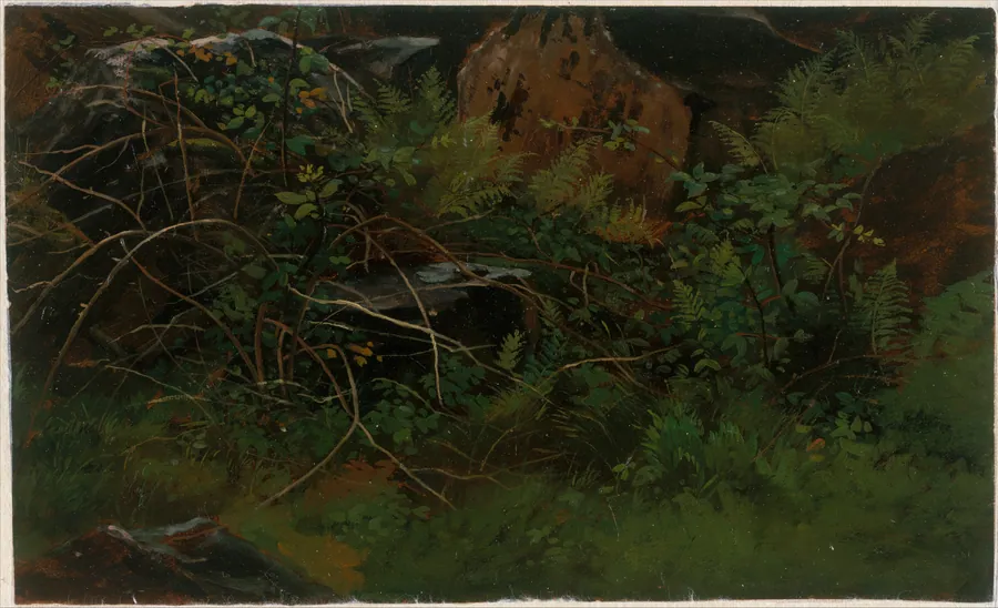Study from Nature by William Stanley Haseltine