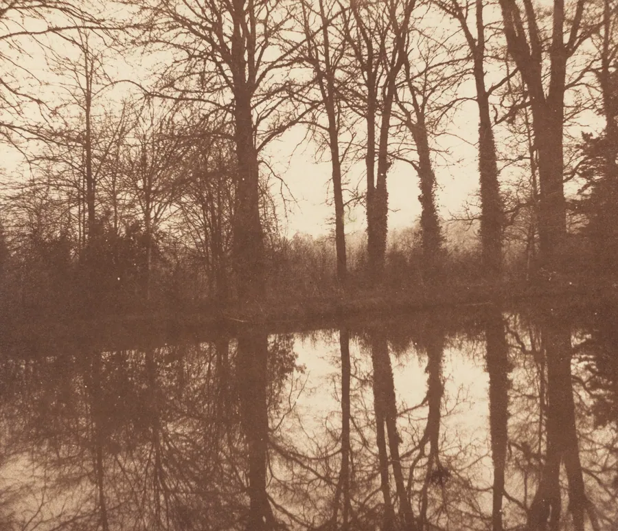 Winter Trees, Reflected in a Pond by William Henry Fox Talbot