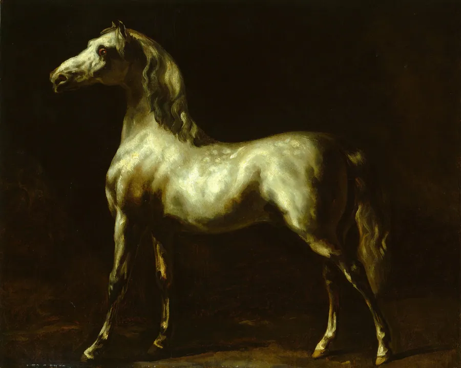 Gray Stallion by Anonymous Artist