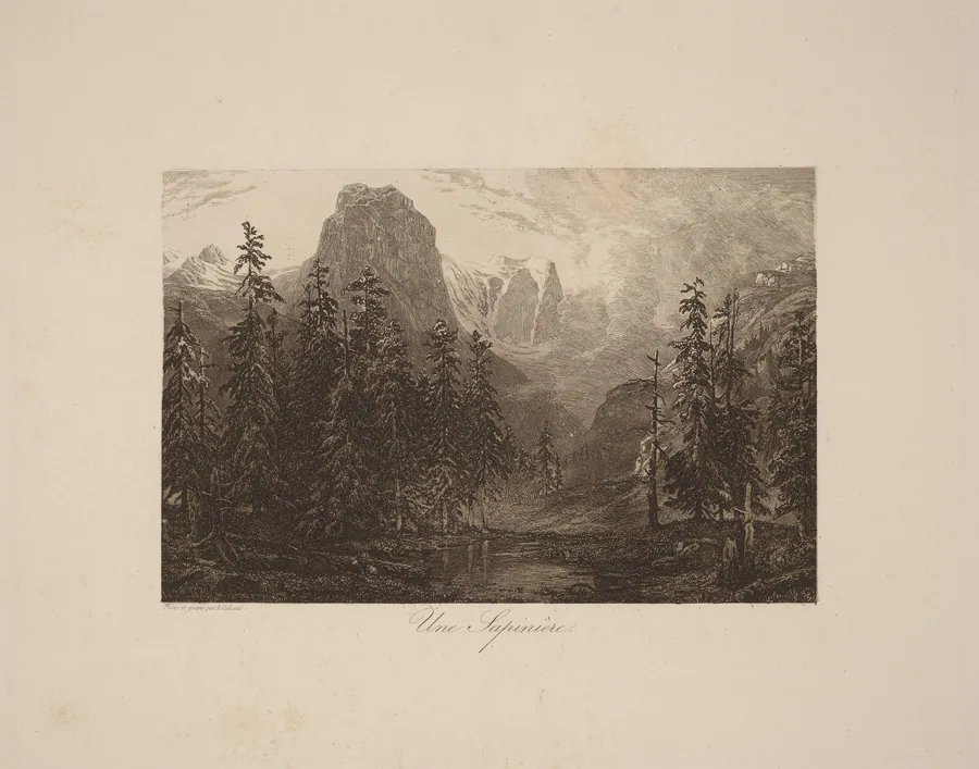 Une Sapinière by Alexandre Calame