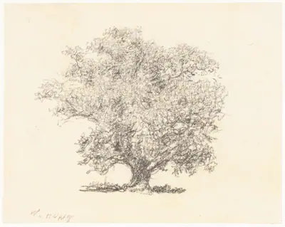 A Tree in Full-Leaf