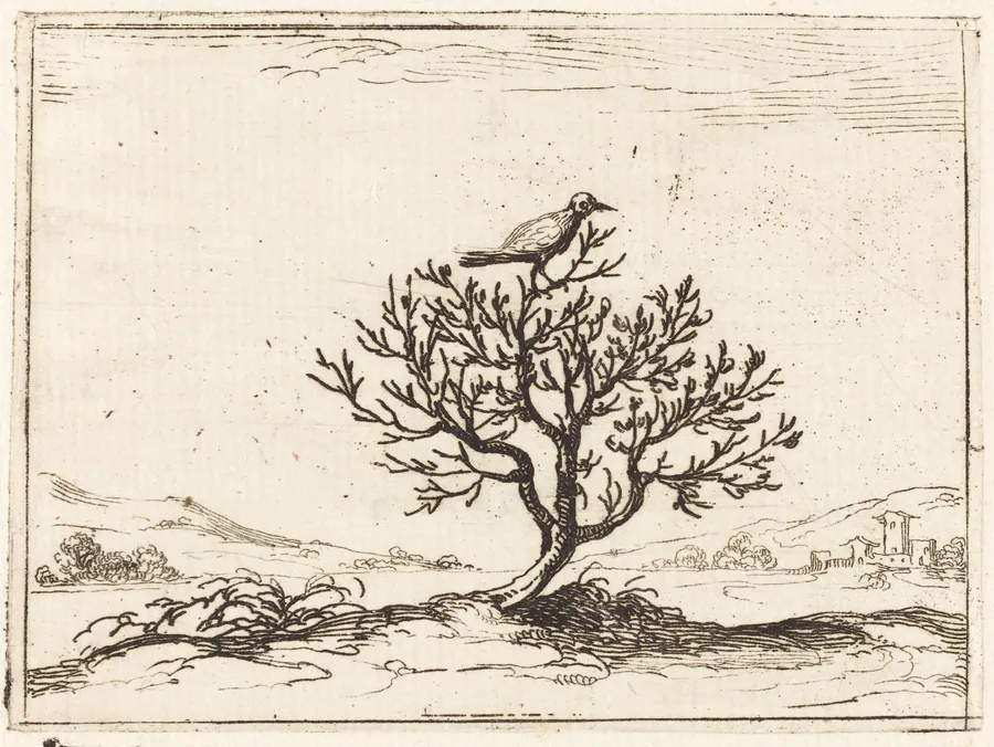 Nightingale in a Bush by Jacques Callot