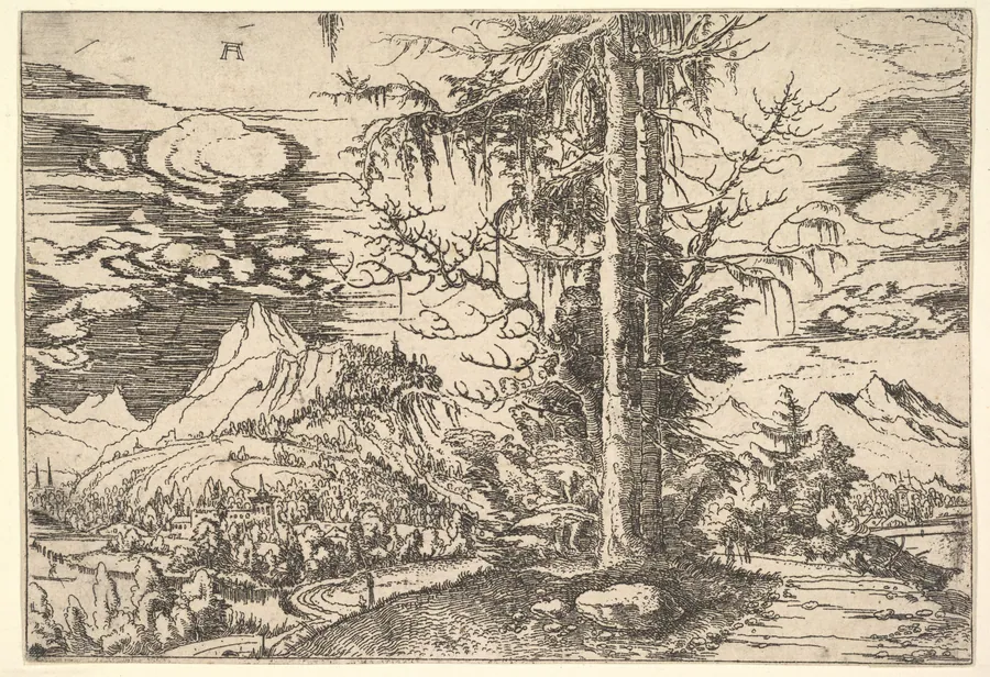 Landscape with a Double Spruce by Albrecht Altdorfer