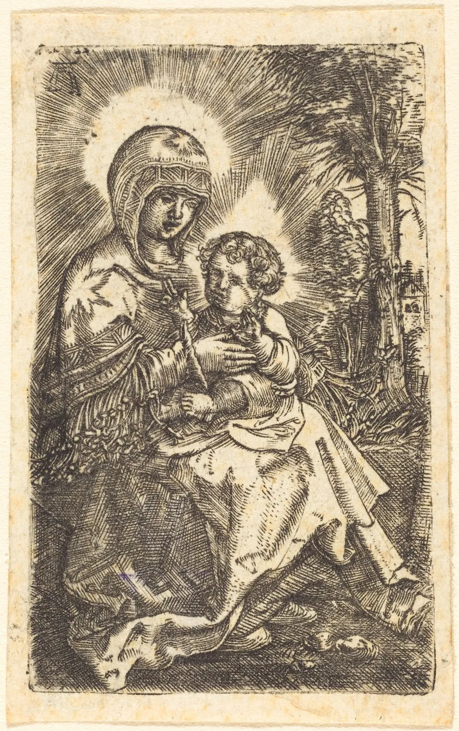 The Beautiful Virgin of Regensburg Seated in a Landscape by Albrecht Altdorfer