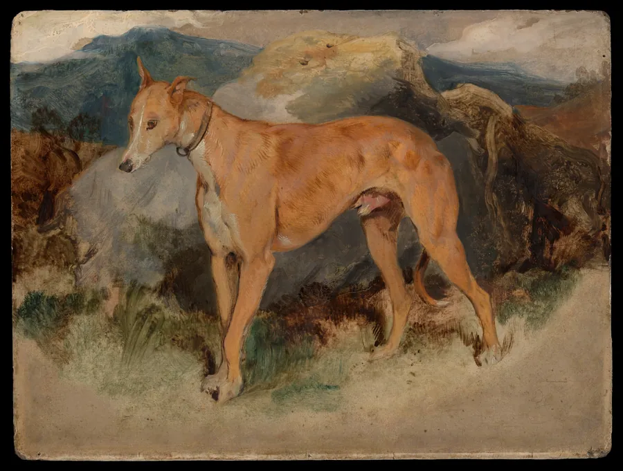 A Deerhound by Sir Edwin Henry Landseer