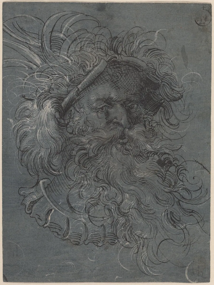 Head of a Bearded Man by Jost Amman