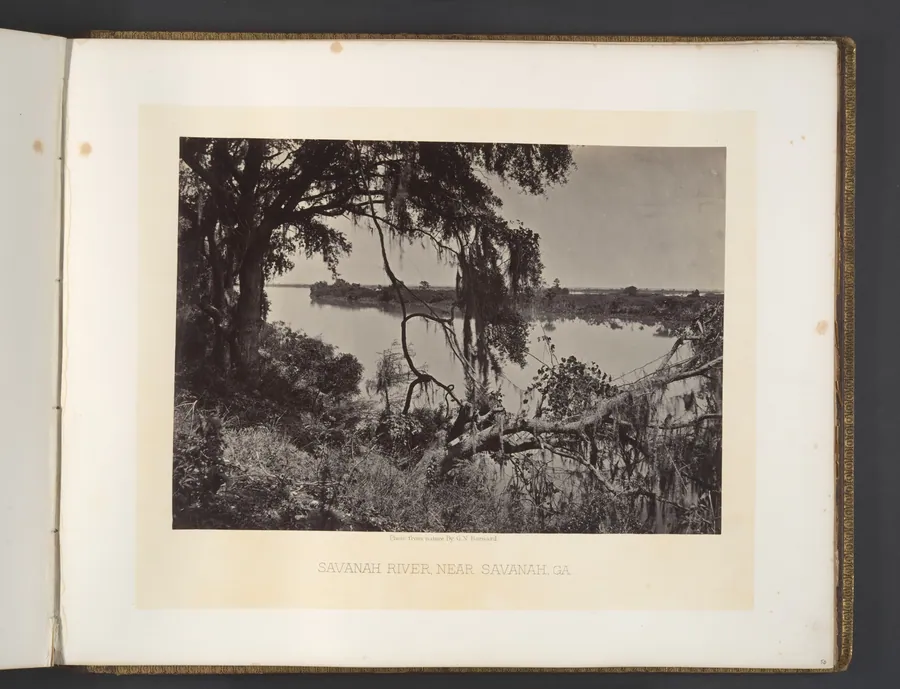 Savanah River, Near Savanah, Georgia by George N. Barnard