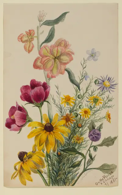 Group of Flowers