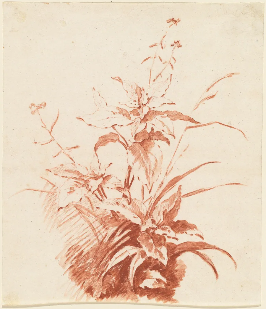 Flowering Plant with Grass by Jean-Baptiste Hüet