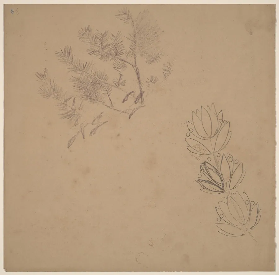Study for a Border Design with a Sketch of a Tree by Charles Sprague Pearce