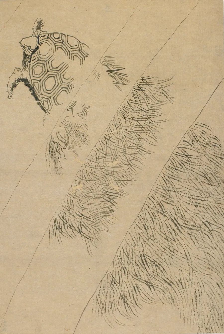 Swimming turtle amongst sea-weeds by Katsushika Hokusai 葛飾北斎 (1760-1849)
