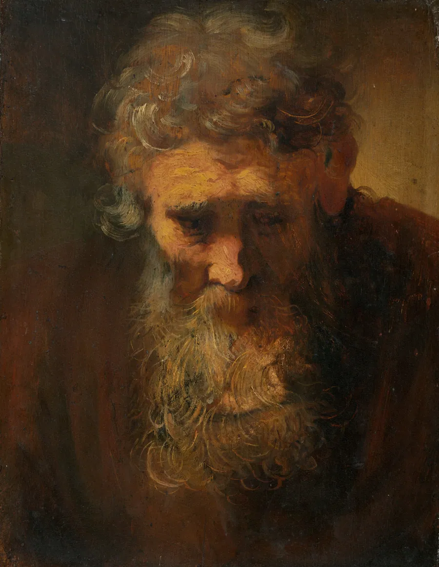 Study of an Old Man by Anonymous Artist
